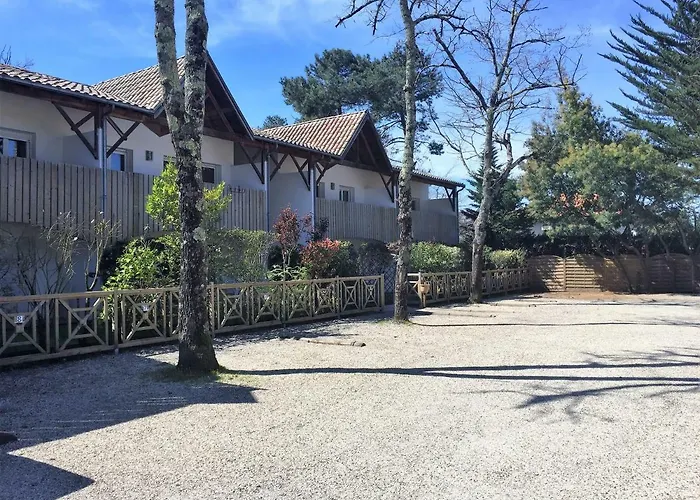 Cosy - Les Ecureuils آريس